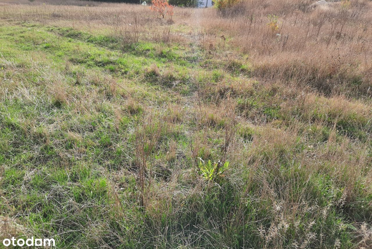 Działki budowlane Osówiec - 1 km od Osowej Góry.