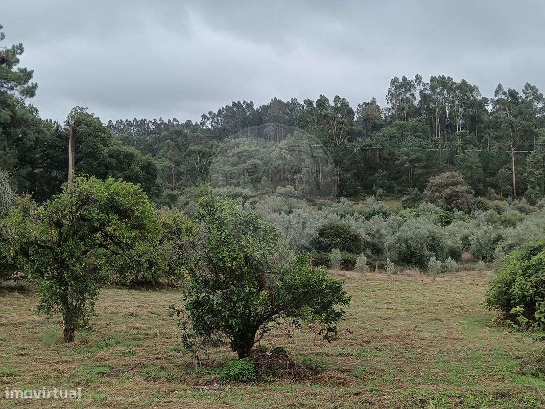 Terreno  para venda - Grande imagem: 4/5