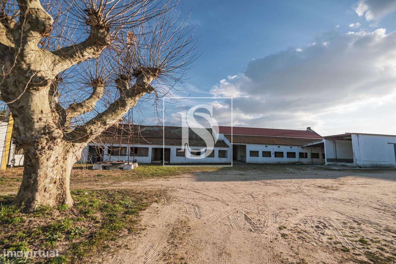 Herdade T3+2 Venda em Poceirão e Marateca,Palmela-20