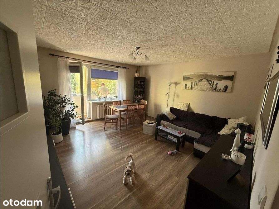 Mieszkanie 52,5m2, Aleksandrów Łódzki - Pełny obrazek: 5/8