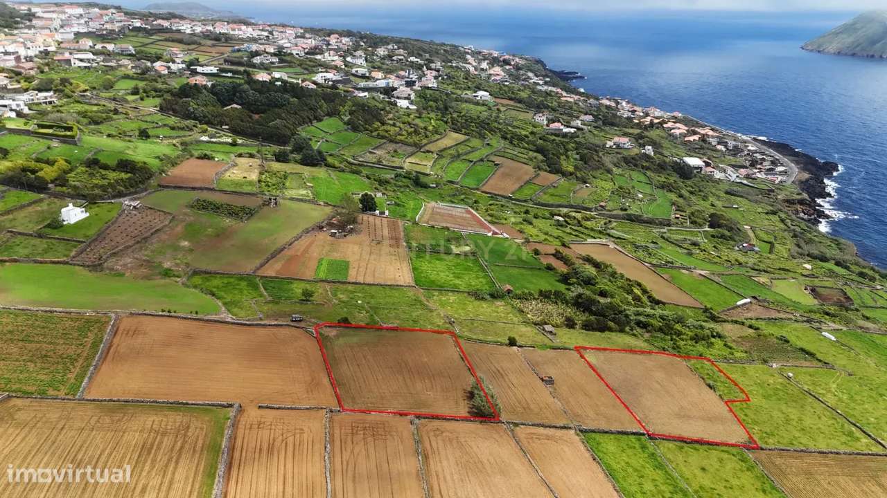 Terrenos agrícolas  na zona da Ladeira Grande – Ribeirinha, Ilha Terce-4