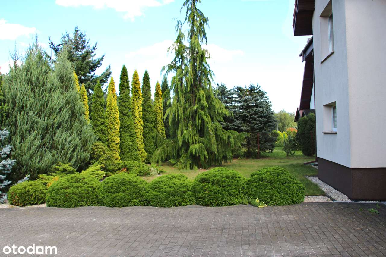 Atrakcyjny dom, 7 pokoi, duża działka, LAS!-13