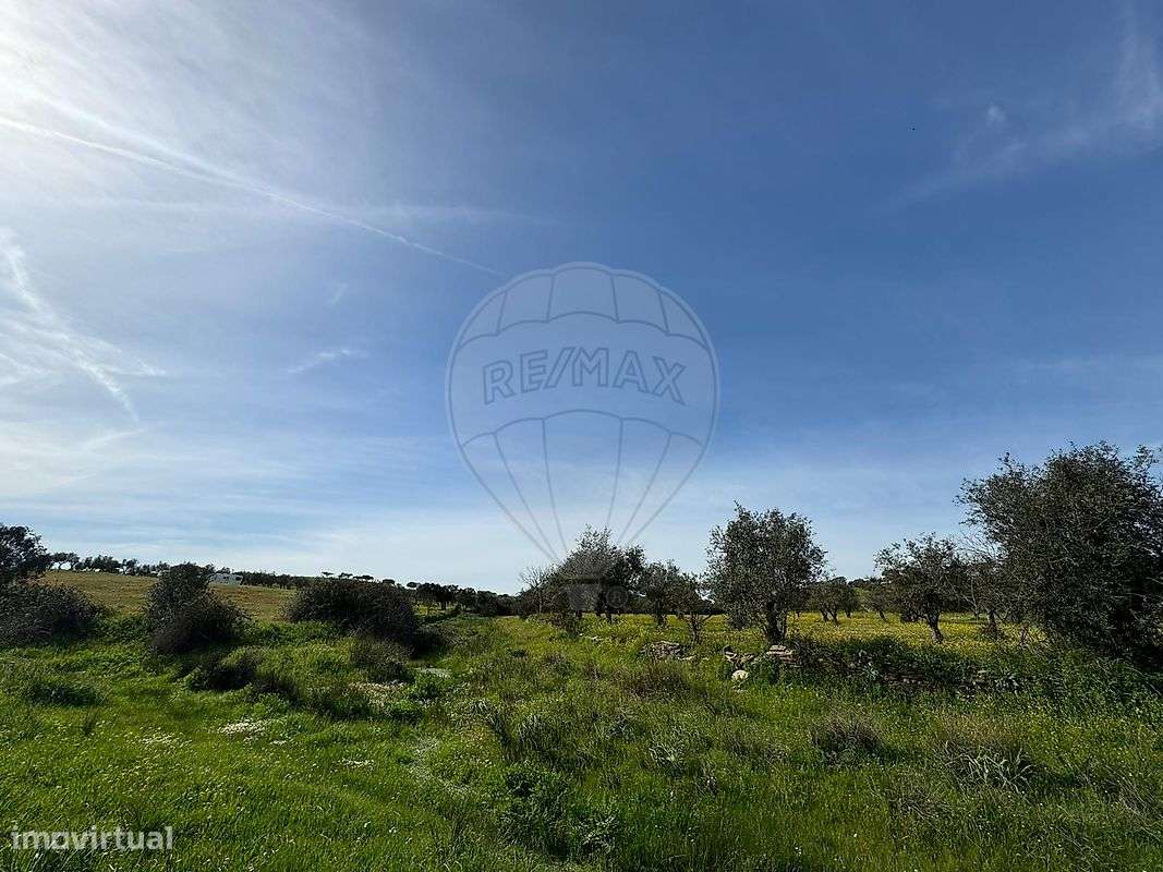 Terreno  para venda - Grande imagem: 3/4