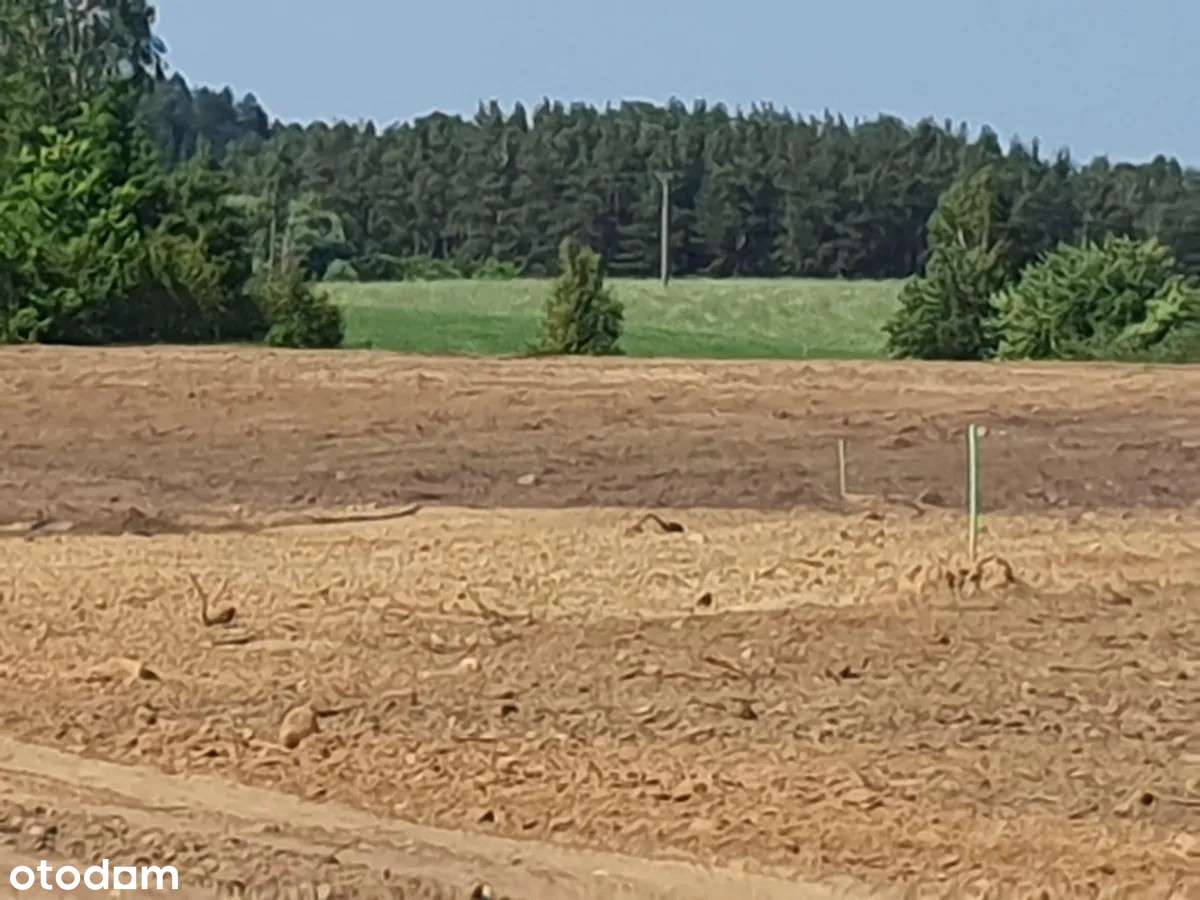 Działka budowlana 1000 m2 20 min. od Trójmiasta Szemud Donimierz - Pełny obrazek: 4/12