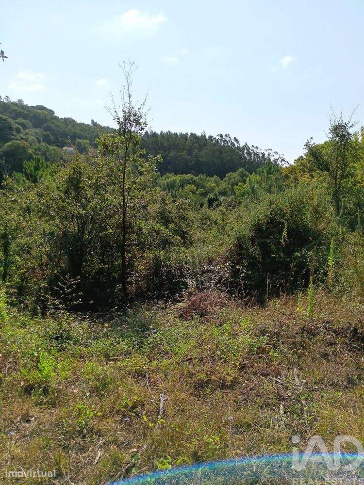 Terreno em Alcobaça e Vestiaria de 12200,00 m2 - Grande imagem: 3/10