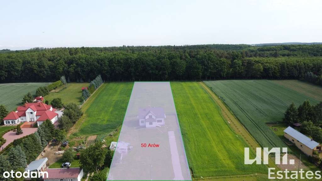 Dom 6 pokojowy| Cicha okolica | Duża działka - Pełny obrazek: 5/17