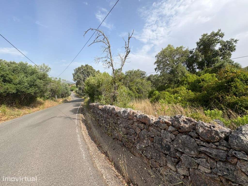 Terreno Rustico de 9.300 m² nos Palmeiros, Salir, Algarve - Grande imagem: 5/14
