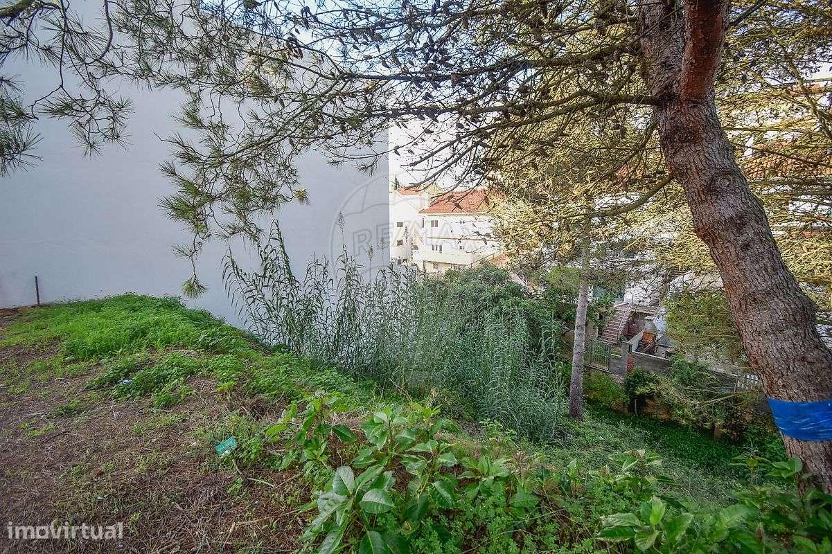 Terreno  para venda - Grande imagem: 3/3