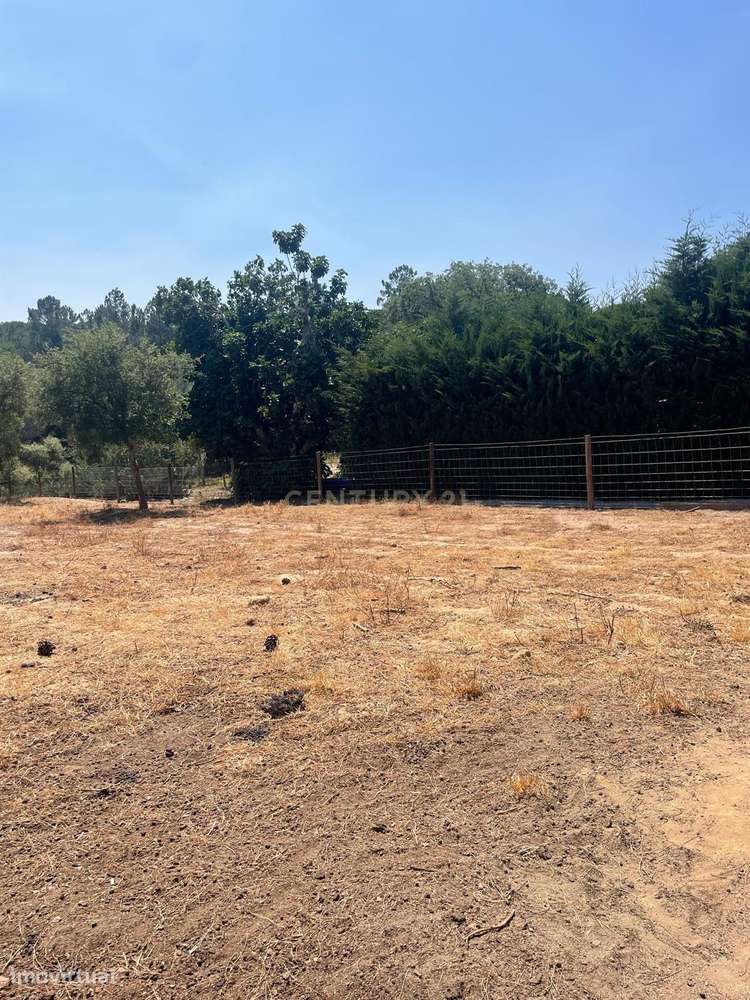 Terreno rústico com 3125m2 e localizado em Vale do Carvoeiro, Lavre - - Grande imagem: 3/17