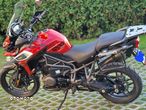 Triumph Tiger - 19