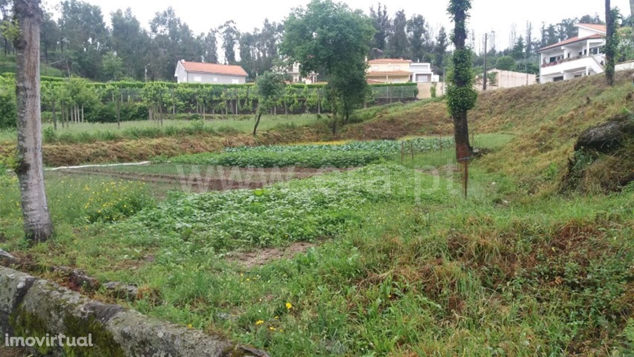 Terreno com 600 m2 em Antime