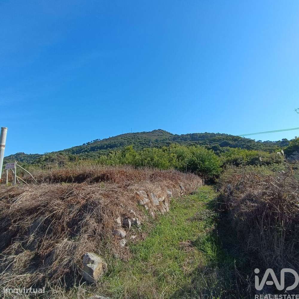 Terreno em Moledo e Cristelo - Grande imagem: 5/16