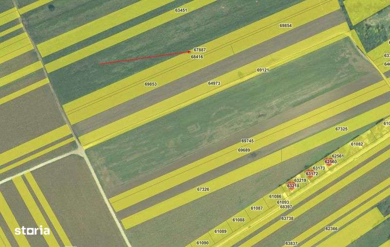 PF vand teren intravilan 5000 mp in Holboca - Imagine principală: 4/4