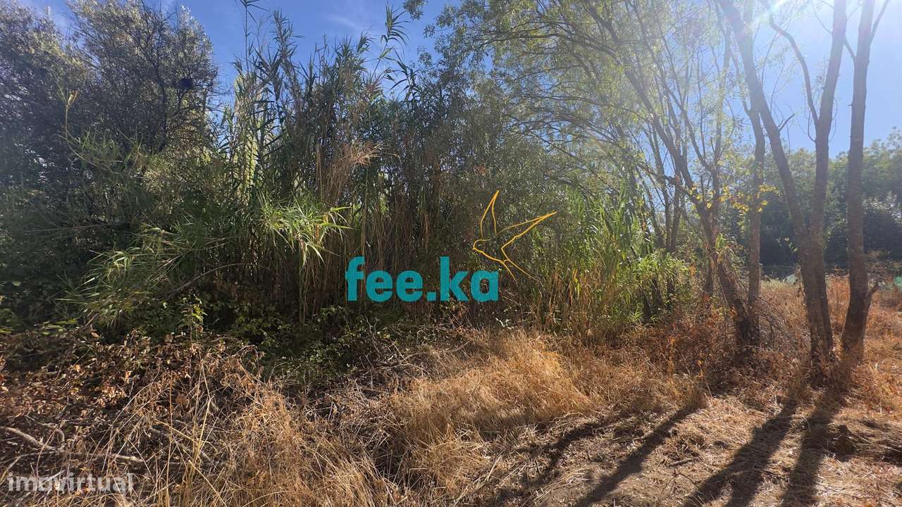 Terreno em Ladoeiro-24
