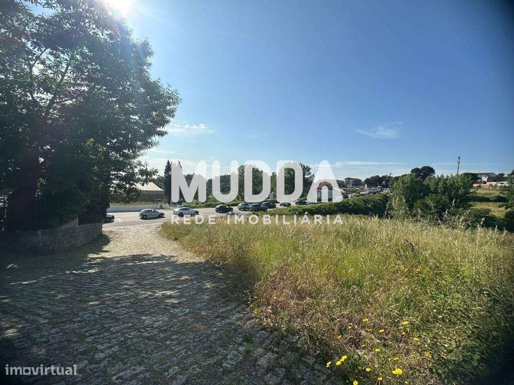 Terreno p/construção em altura - Pinheiro da Bemposta, Oliveira de Aze - Grande imagem: 5/18