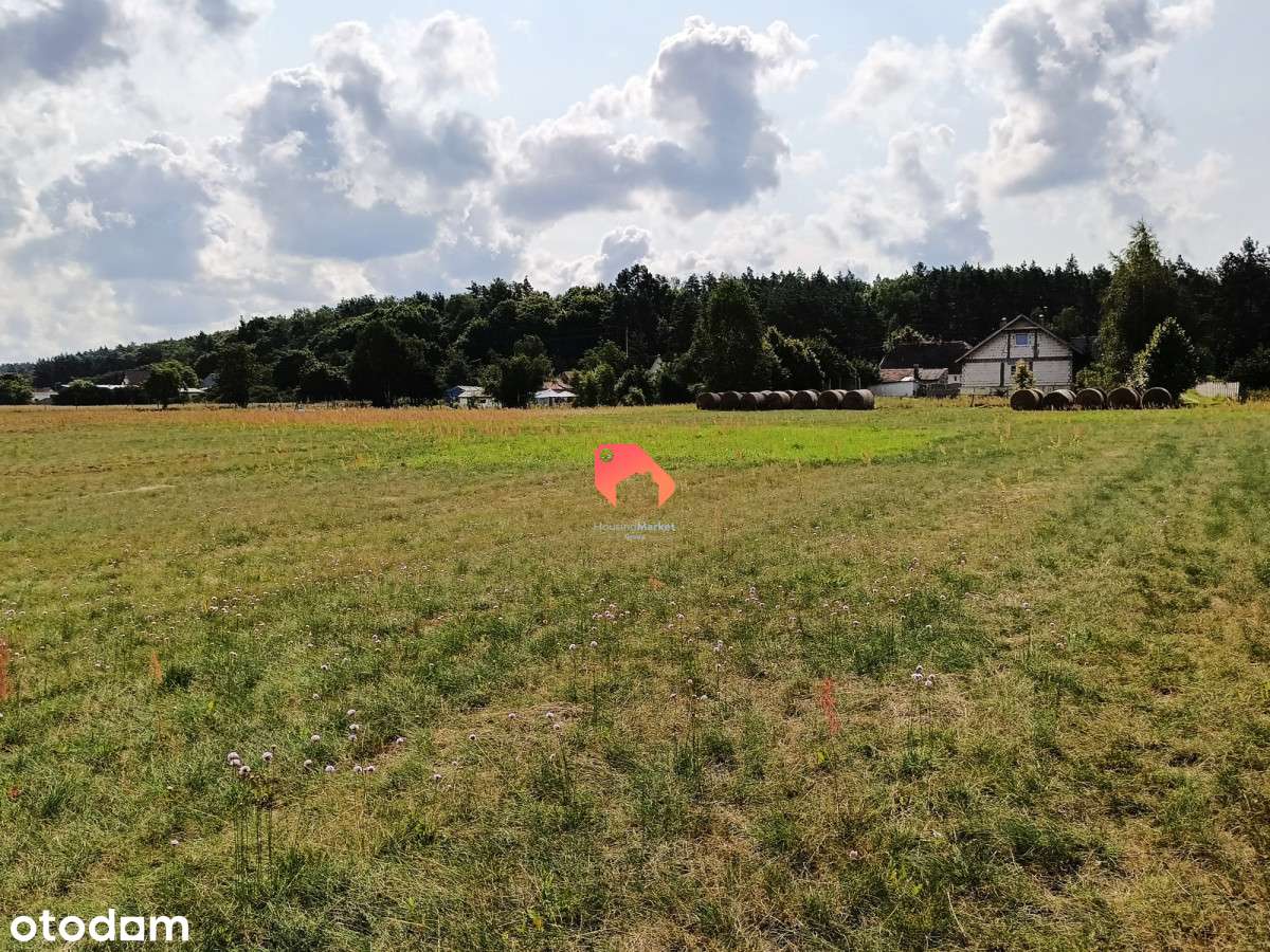 Polichno Piękna Działka Nad Notecią  3,5Ha - Pełny obrazek: 4/7