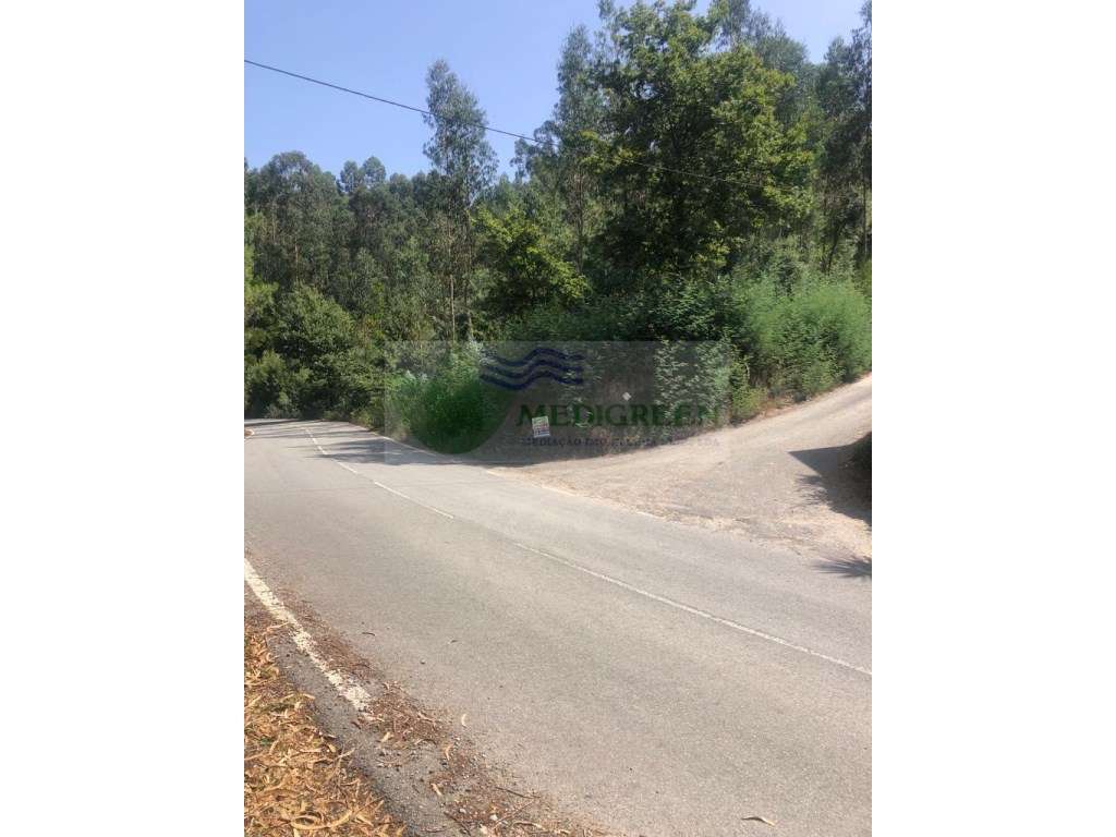 TERRENO PARA CONSTRUÇÃO EM CEDRIM - Grande imagem: 5/9