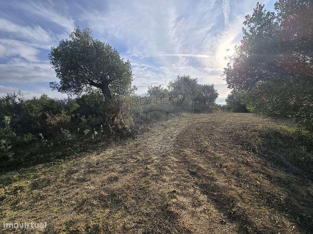 Terreno  para venda - Grande imagem: 4/12