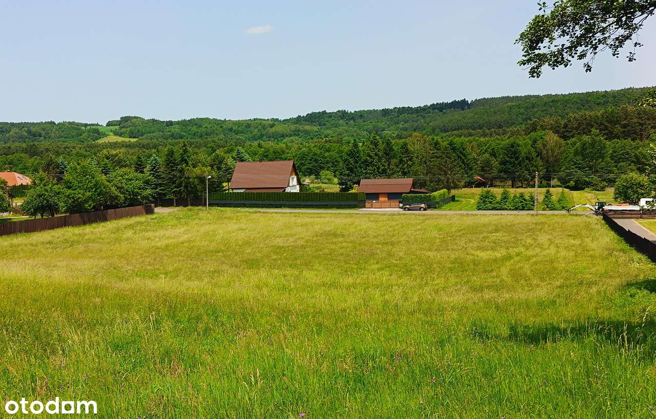 Działki na Roztoczu - Bondyrz-8