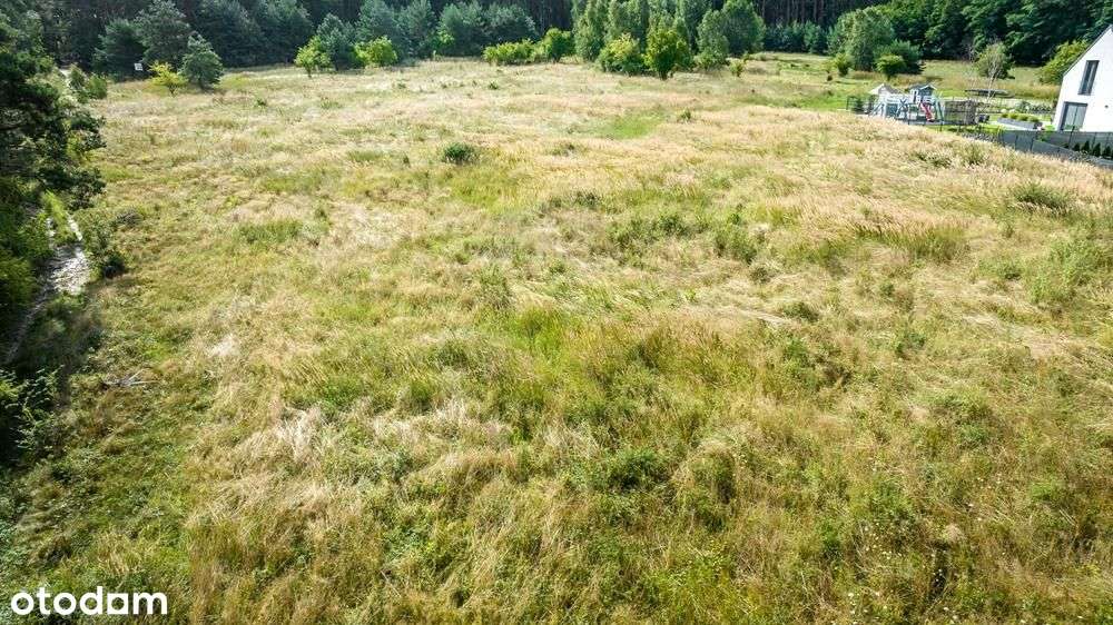 Działki budowlane - Włoszakowice ul. Ogińskiego - Pełny obrazek: 4/17