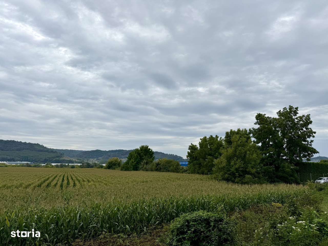 Teren intravilan de vânzare – zonă cu potențial ridicat de dezvoltare. - Imagine principală: 3/5