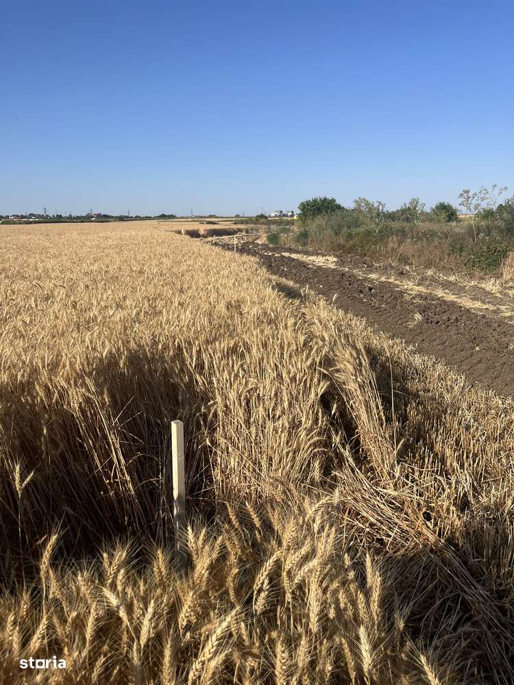 Teren Strada Tisei - Isaran Green ( Aurel Vlaicu ) - Imagine principală: 4/7