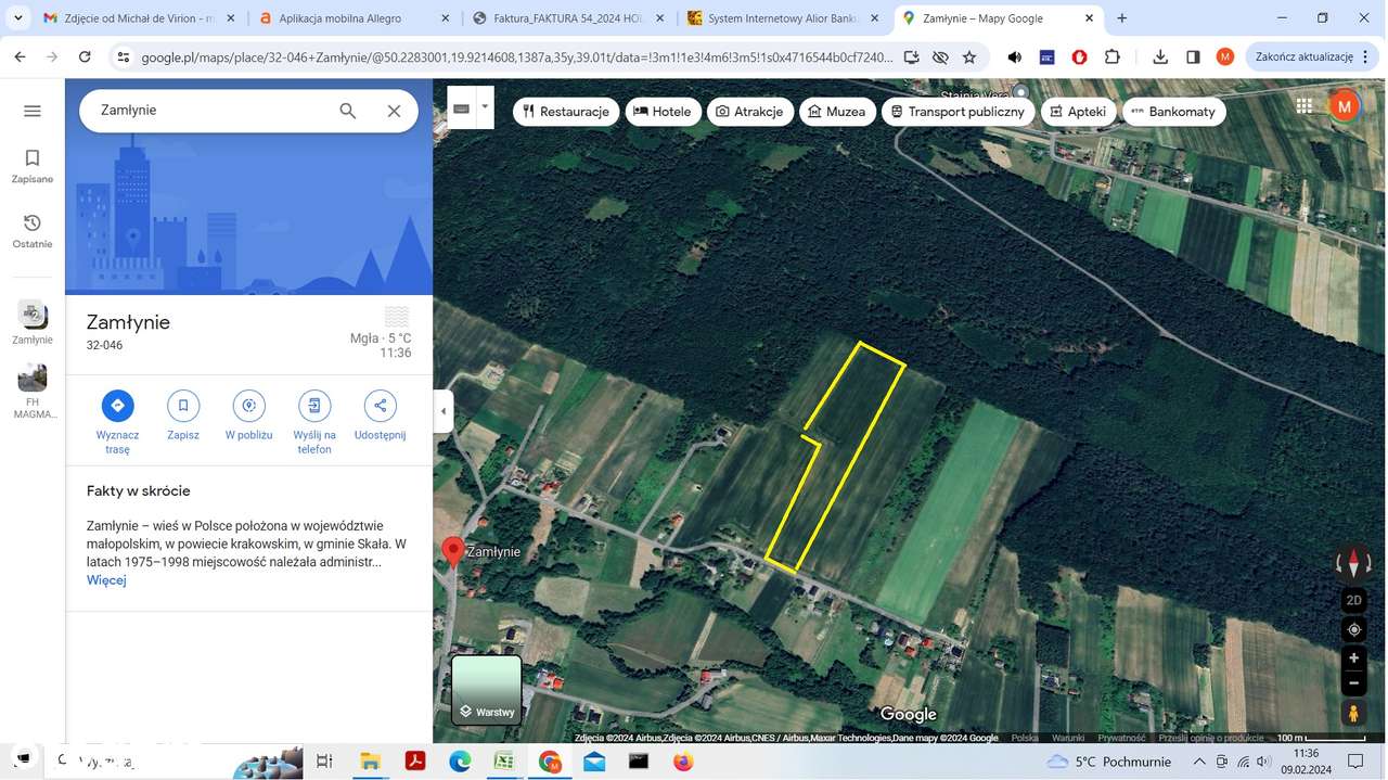 Komornik - 7364 m² bezpośrednio las, na wzgórzu, widok panoramiczny, - Pełny obrazek: 2/2