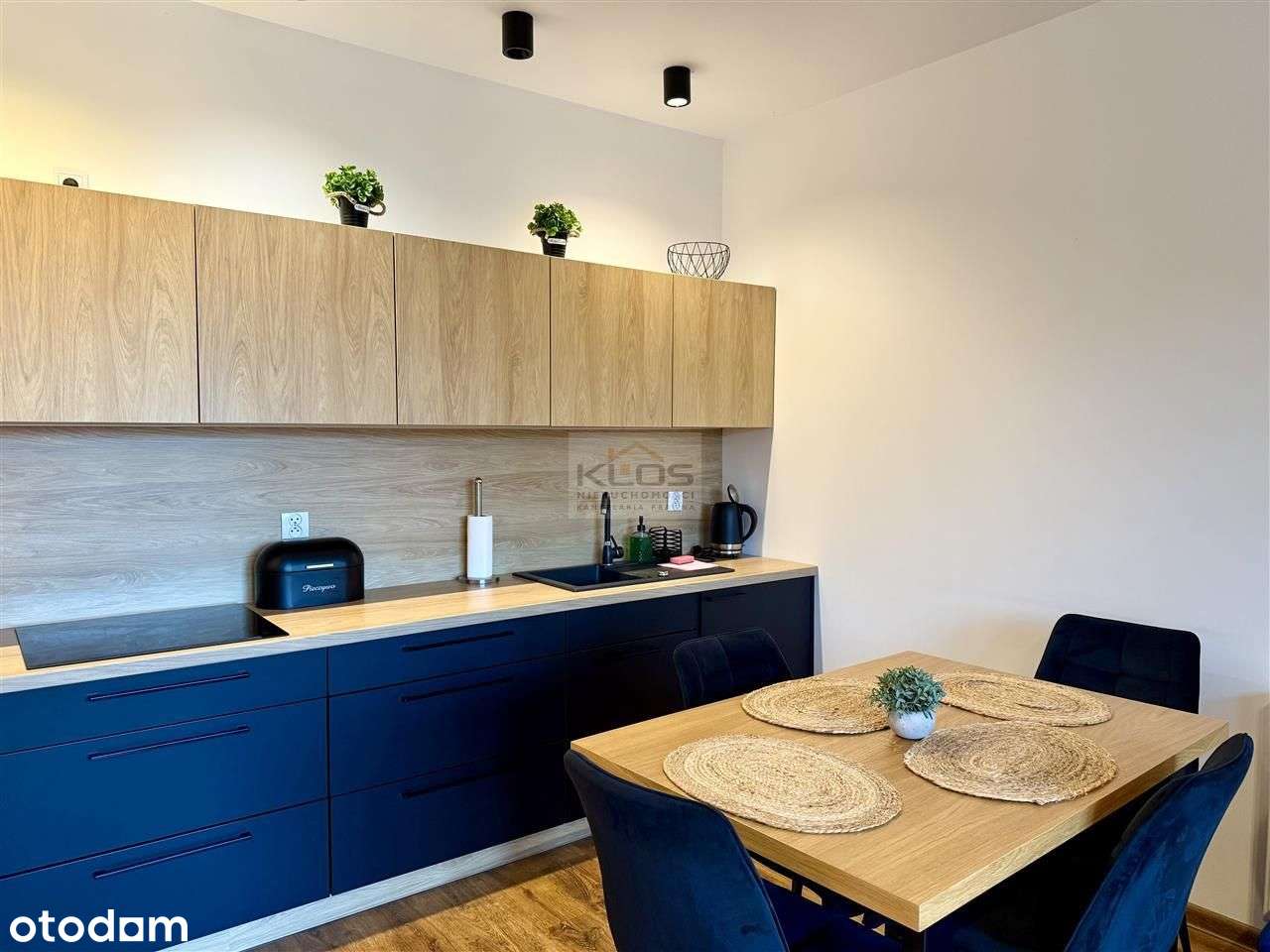 Gotowiec inwestycyjny wśród natury | Karkonosze-1