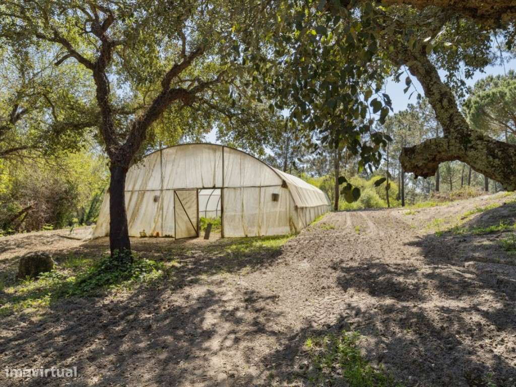 Refúgio Contemporâneo entre Vinhas na Comporta-48