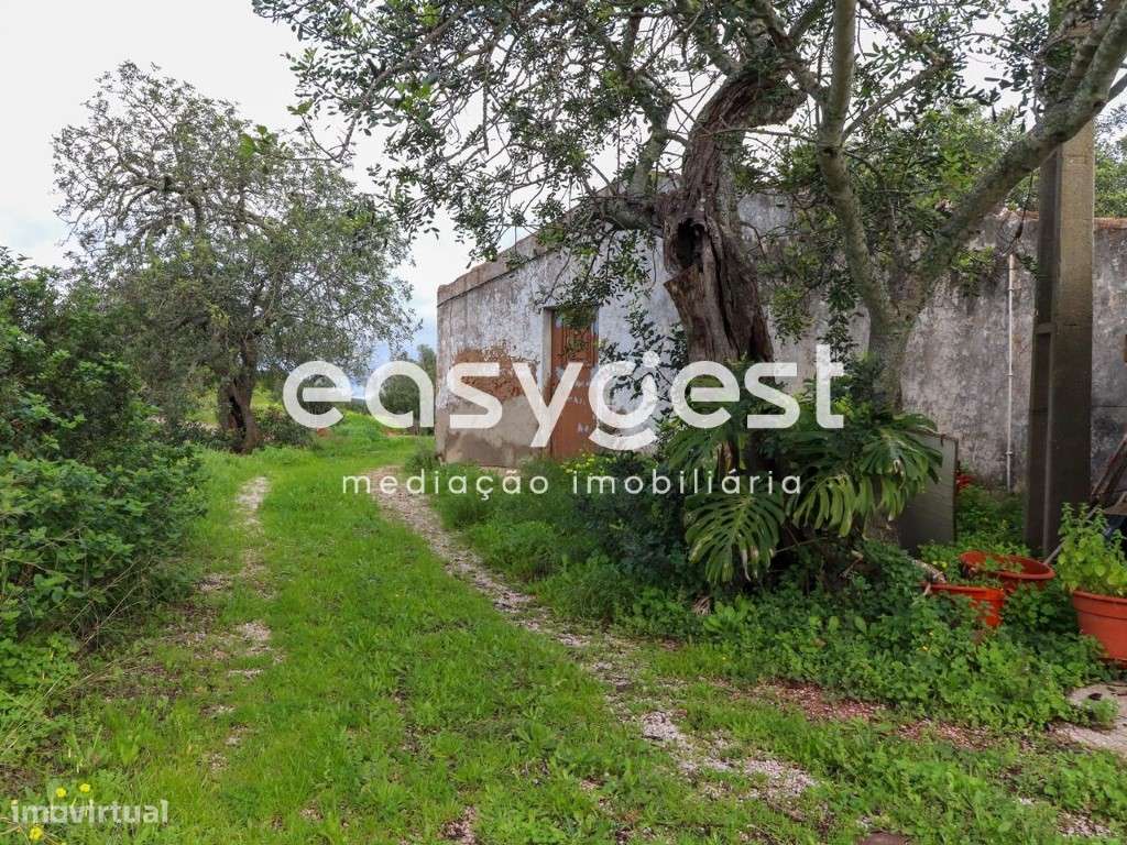 Monte para recuperar em Santa Catarina com vista serra e vista mar - Grande imagem: 2/41