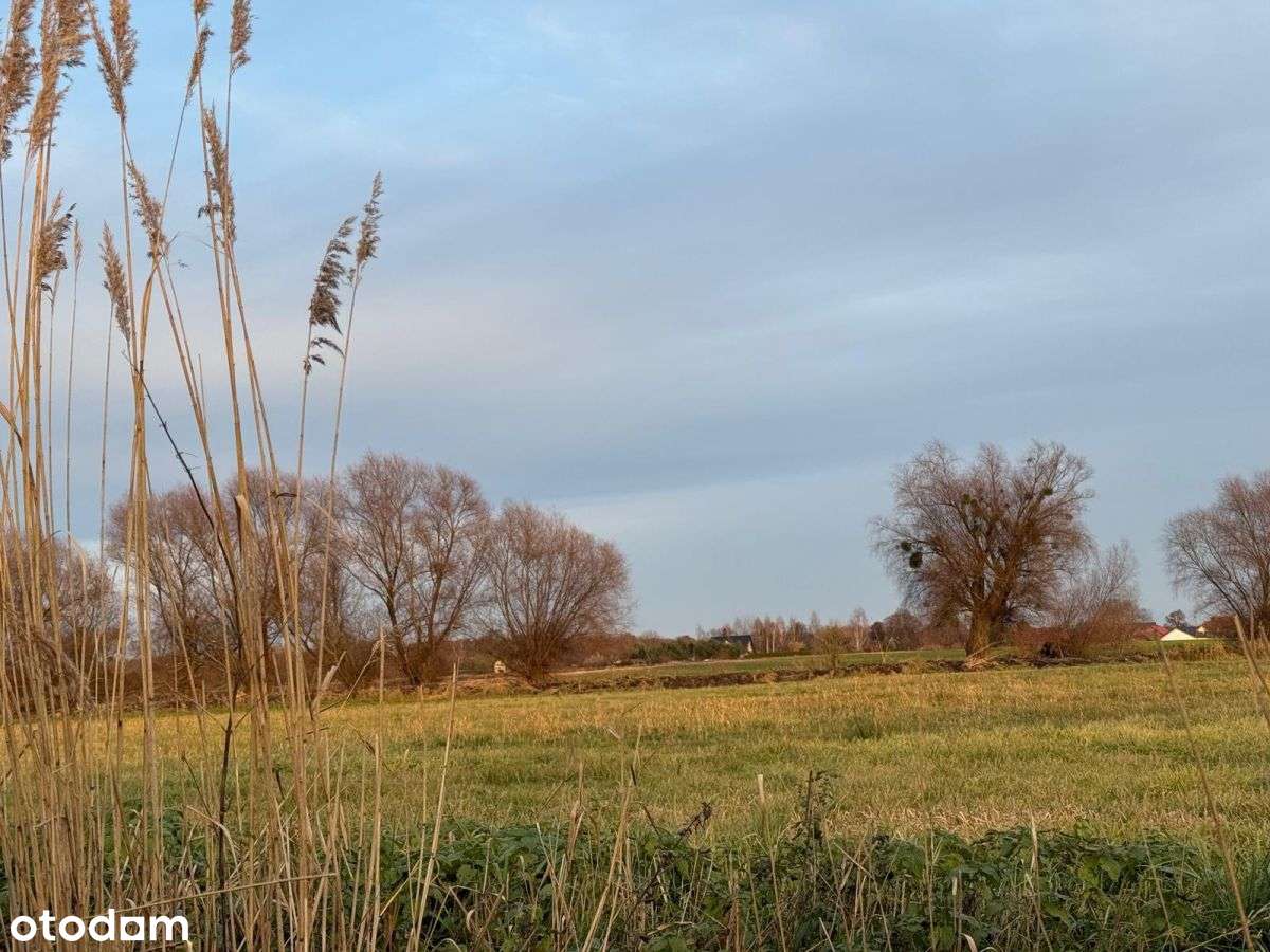 Działki rolne na sprzedaż | bliskość rzeki-12
