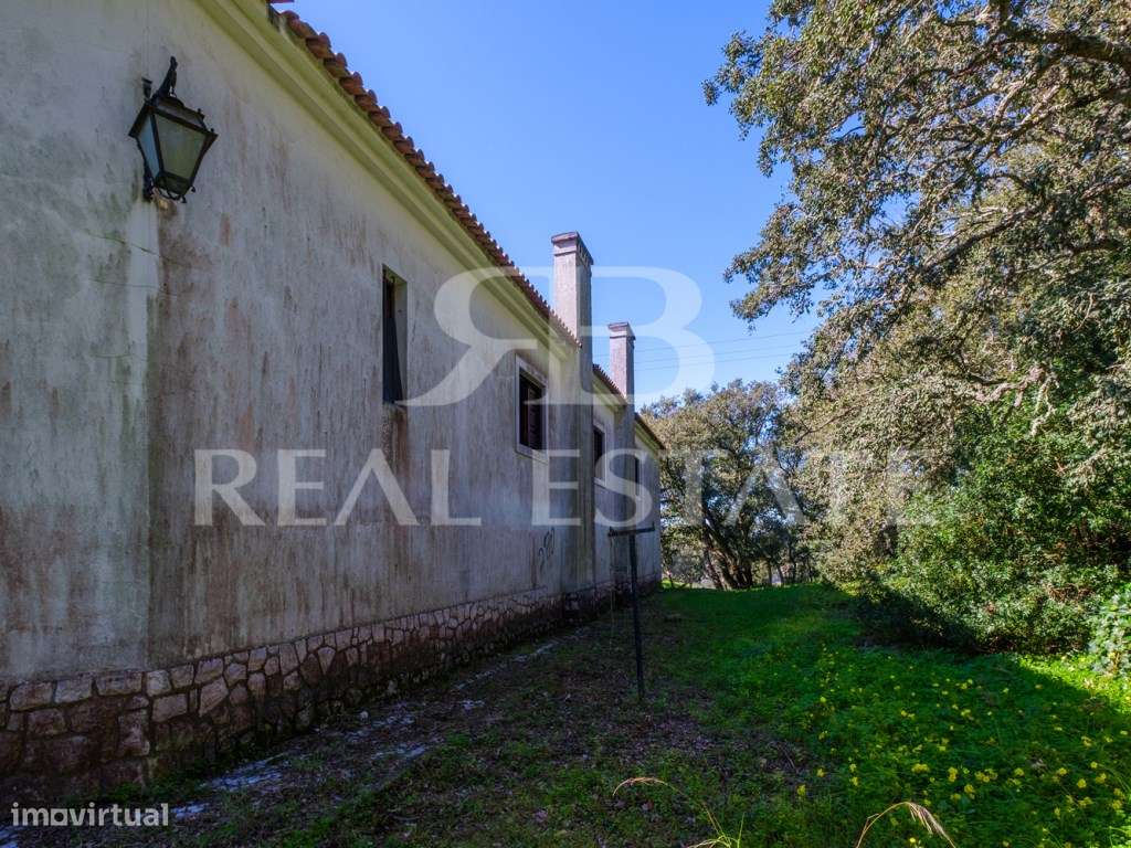COUNTRY COTTAGE | Sesimbra-55