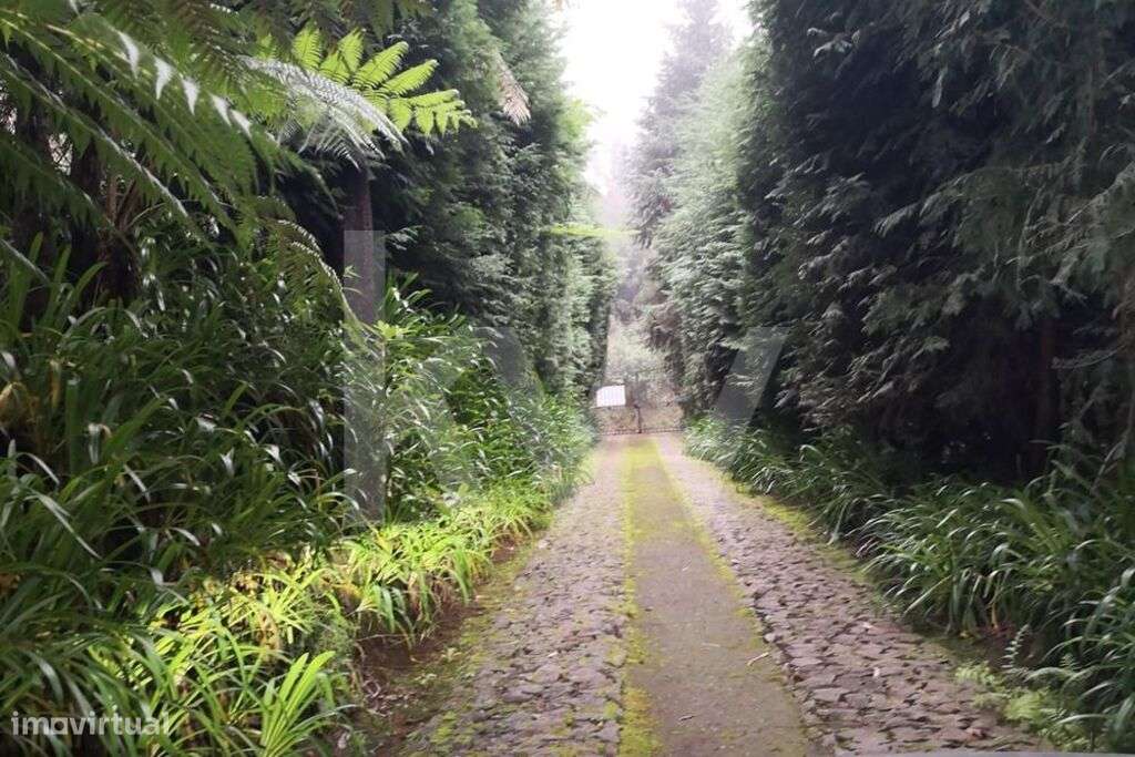 Quinta da Choupana | Vista magnífica sobre a cidade do Funchal | Ilha - Grande imagem: 2/14