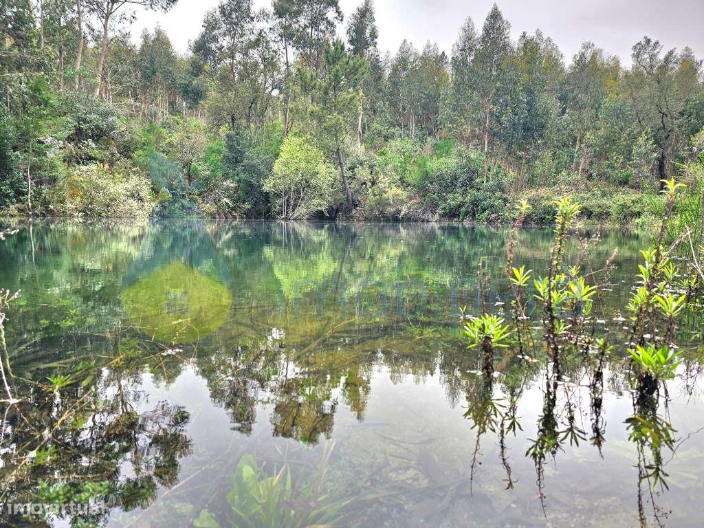 Um excelente terreno, ideal para cultivo, com 3 hectares e com uma ... - Grande imagem: 2/14