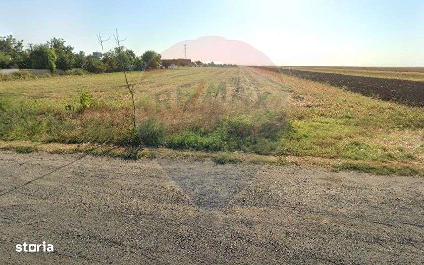 Teren de vanzare la E85-DN2 Buzau Posta Calnau - Imagine principală: 5/5