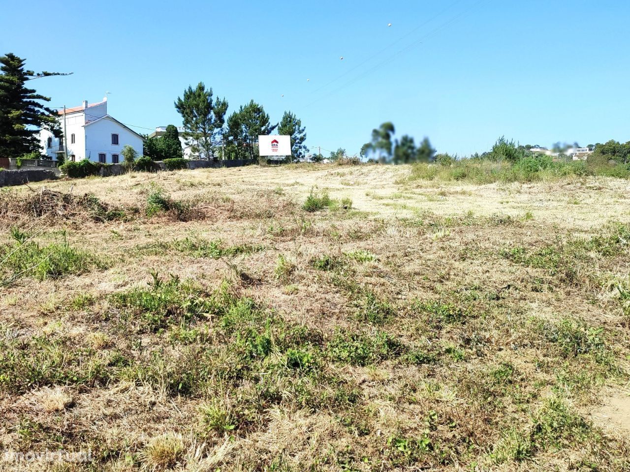 Terreno c/ 12100m2 || Salmanha || Figueira da Foz