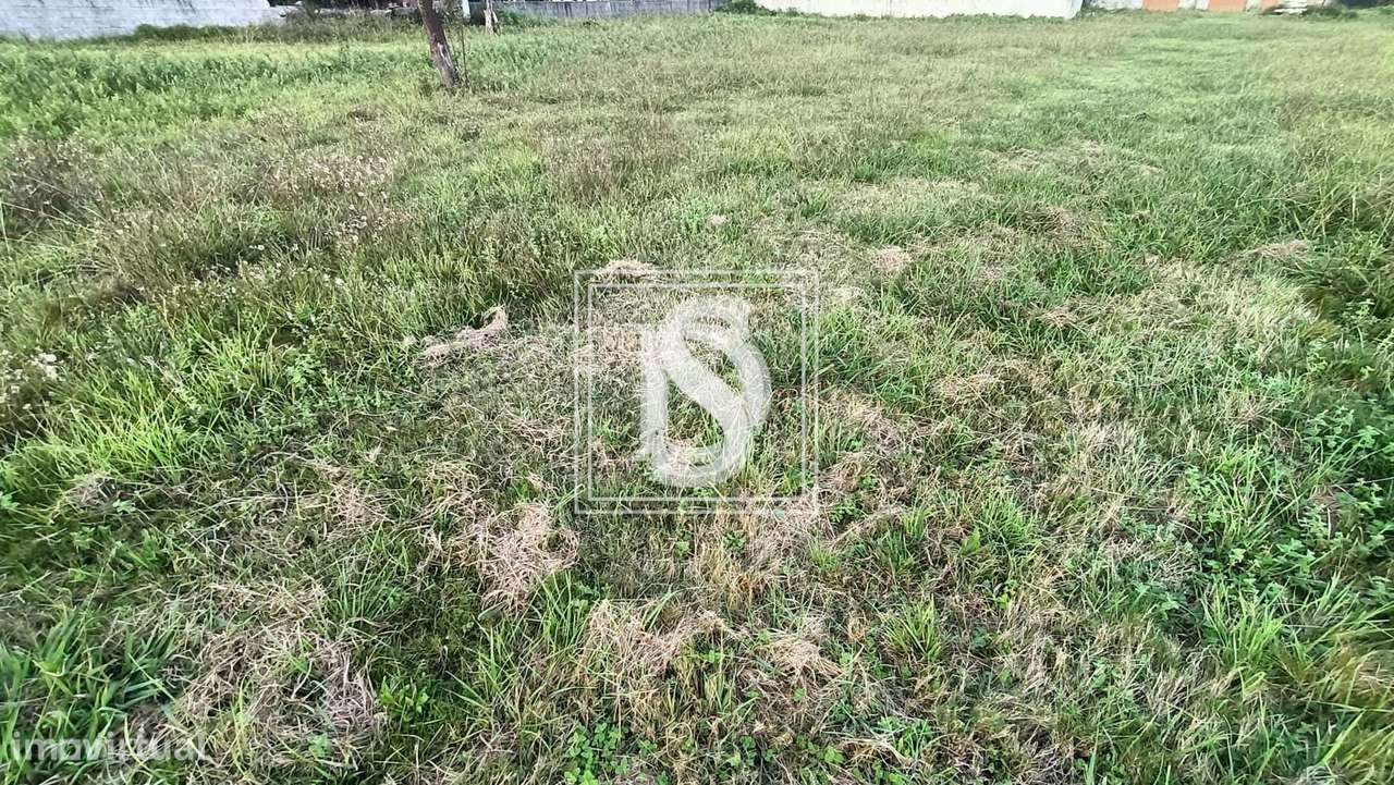 Terreno Não definido em Vila de Punhe - Grande imagem: 4/13