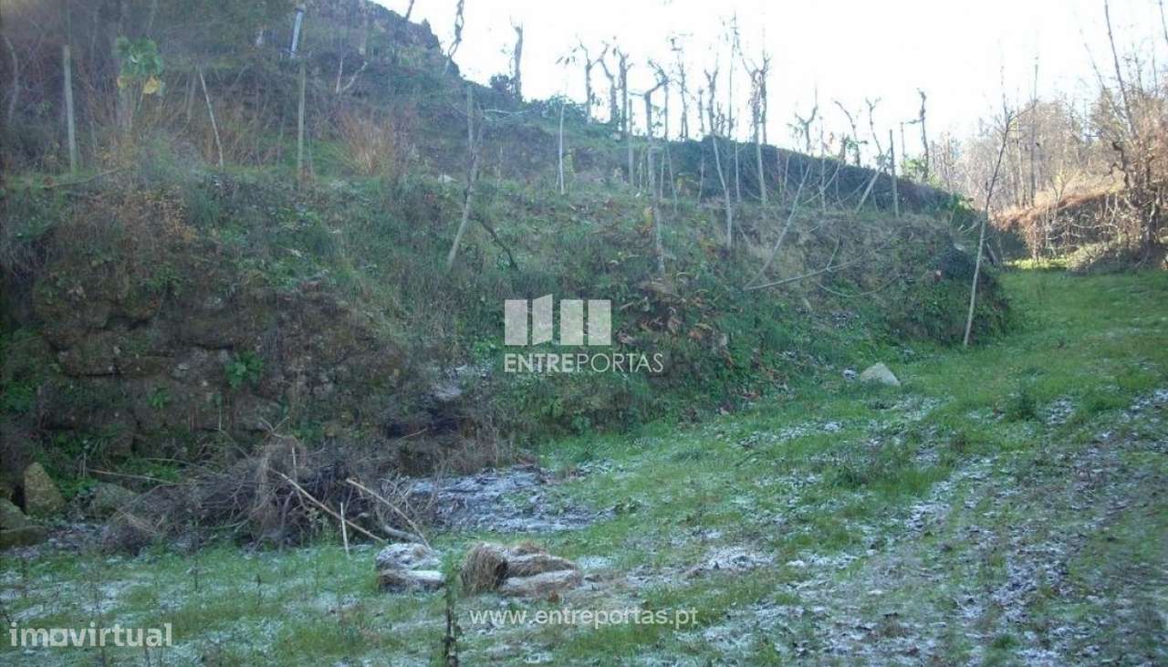 Venda Terreno, Soalhães, Marco de Canaveses - Grande imagem: 5/6