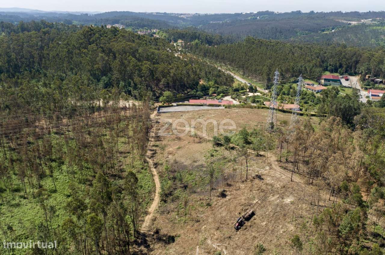 Terreno florestal com capacidade construtiva - Santa Maria da Feira - Grande imagem: 3/36
