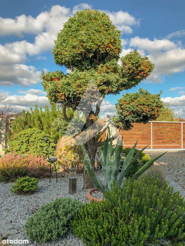 Elegancka willa 330 m² z pięknym ogrodem-3