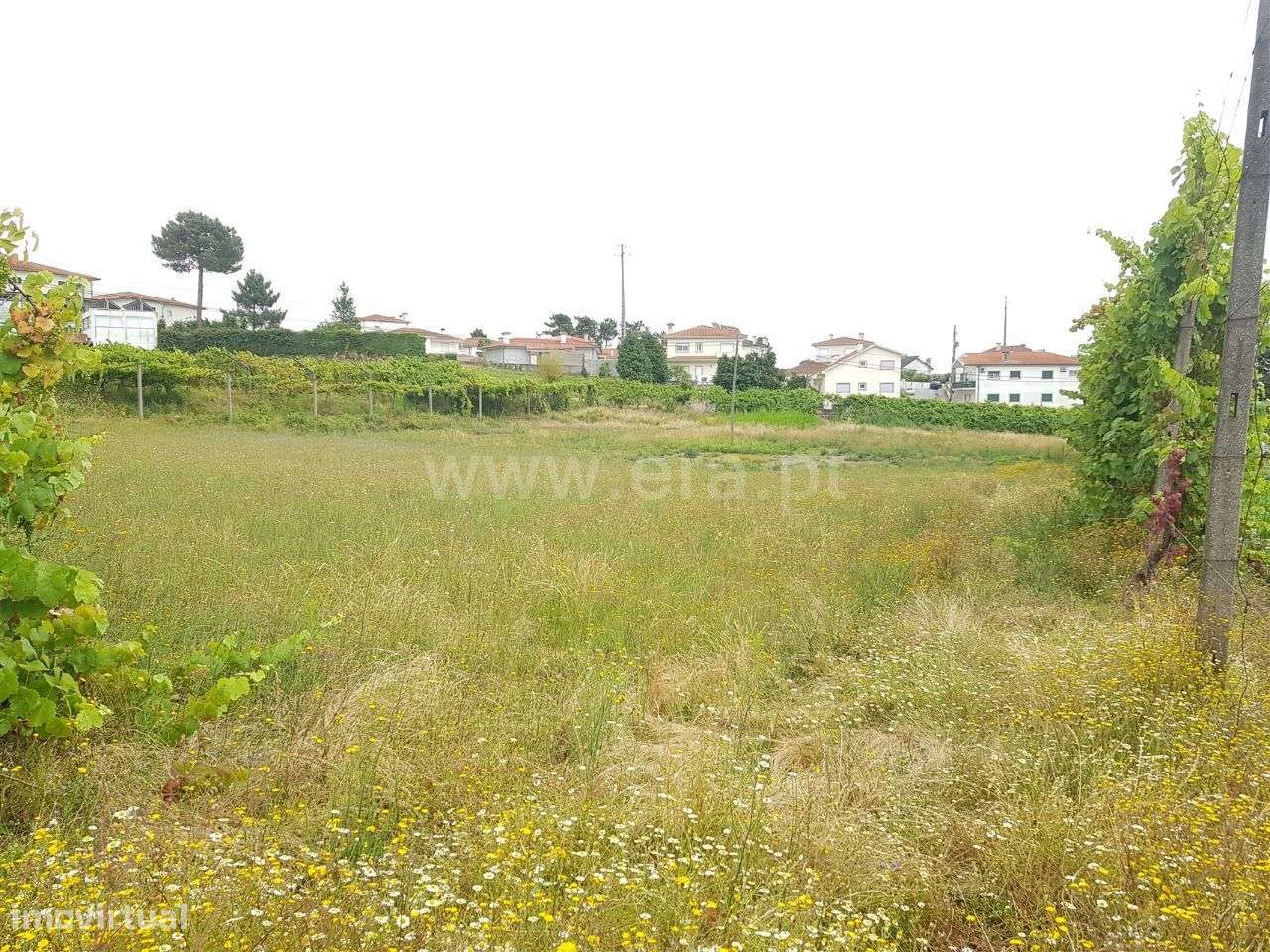 Terreno para construção com 14.280 m2 em Fornelos - Grande imagem: 3/12