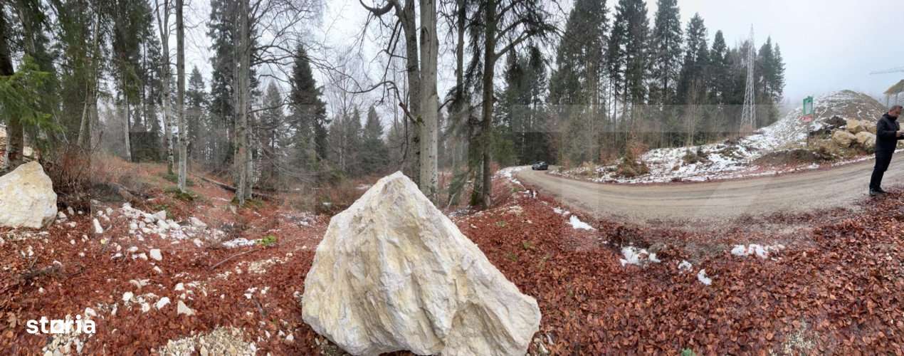 Teren unic, exclusivist  4000 mp, in inima muntilor, Sinaia - Imagine principală: 5/15