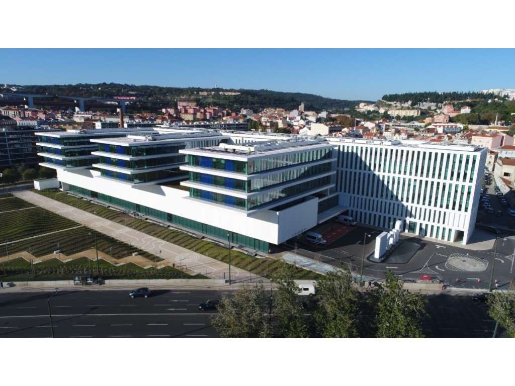 Loja, Estrela - Grande imagem: 3/14