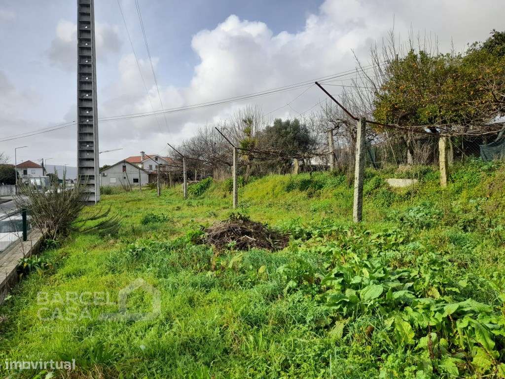 Propriedade em Galegos (Santa Maria) - Barcelos-14
