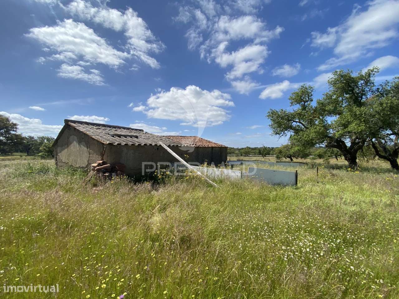 Herdade com ruína para reconstruir - Grande imagem: 3/18