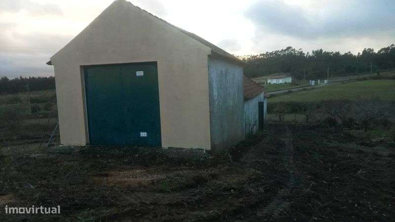 Quinta com casa e terreno - Grande imagem: 4/5