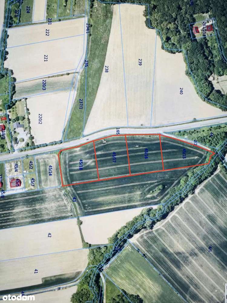 Atrakcyjny widok – idealne miejsce na przyszłe siedlisko Będkowice-2