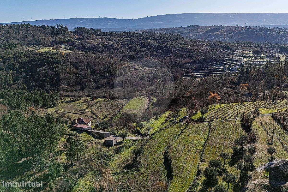 Quinta T4 para venda - Grande imagem: 4/26