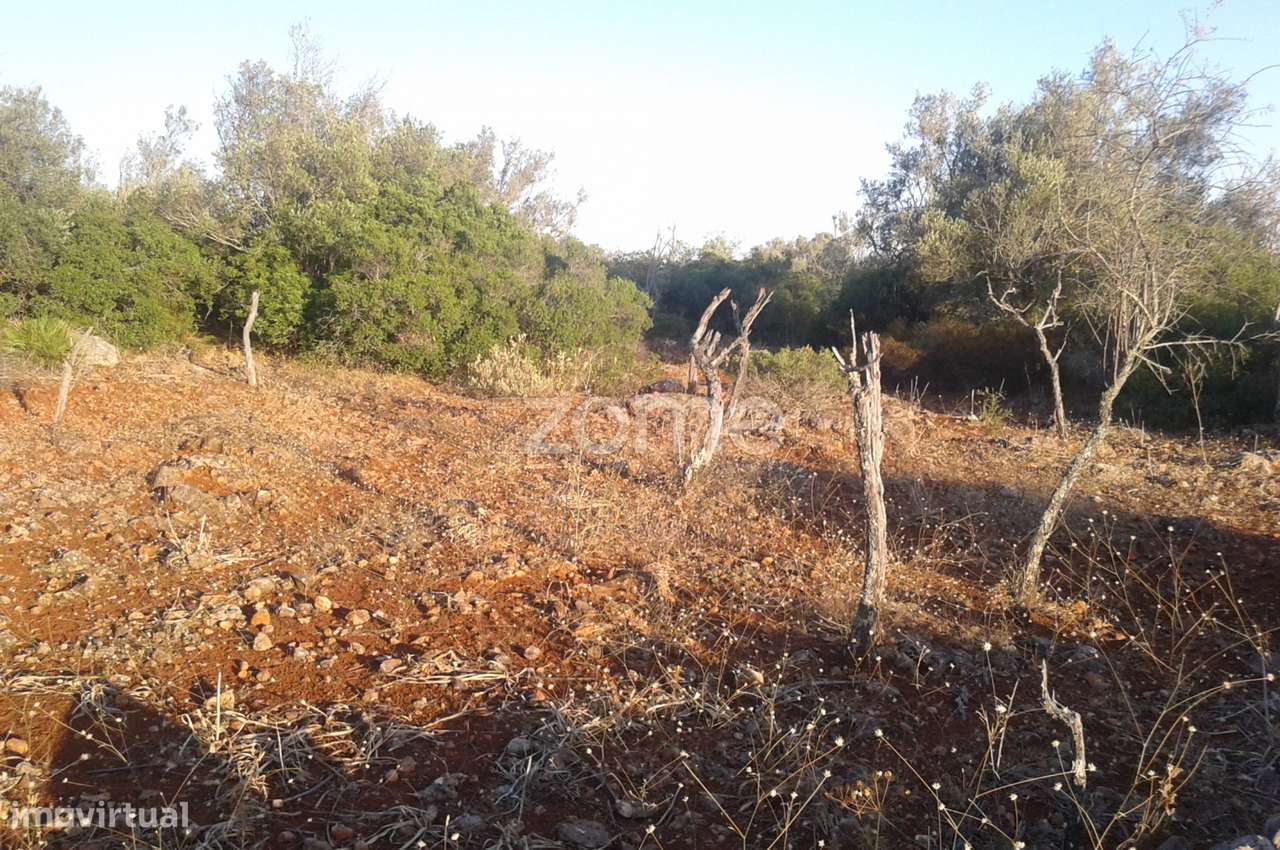 Terreno rústico em Alcaria, Messines, com 34.600m2 - Grande imagem: 3/19