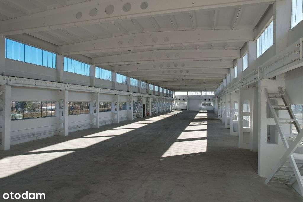 Hala, 1800m2, Co, 10t/m2, suw. 5T, plac 1ha - Pełny obrazek: 5/10